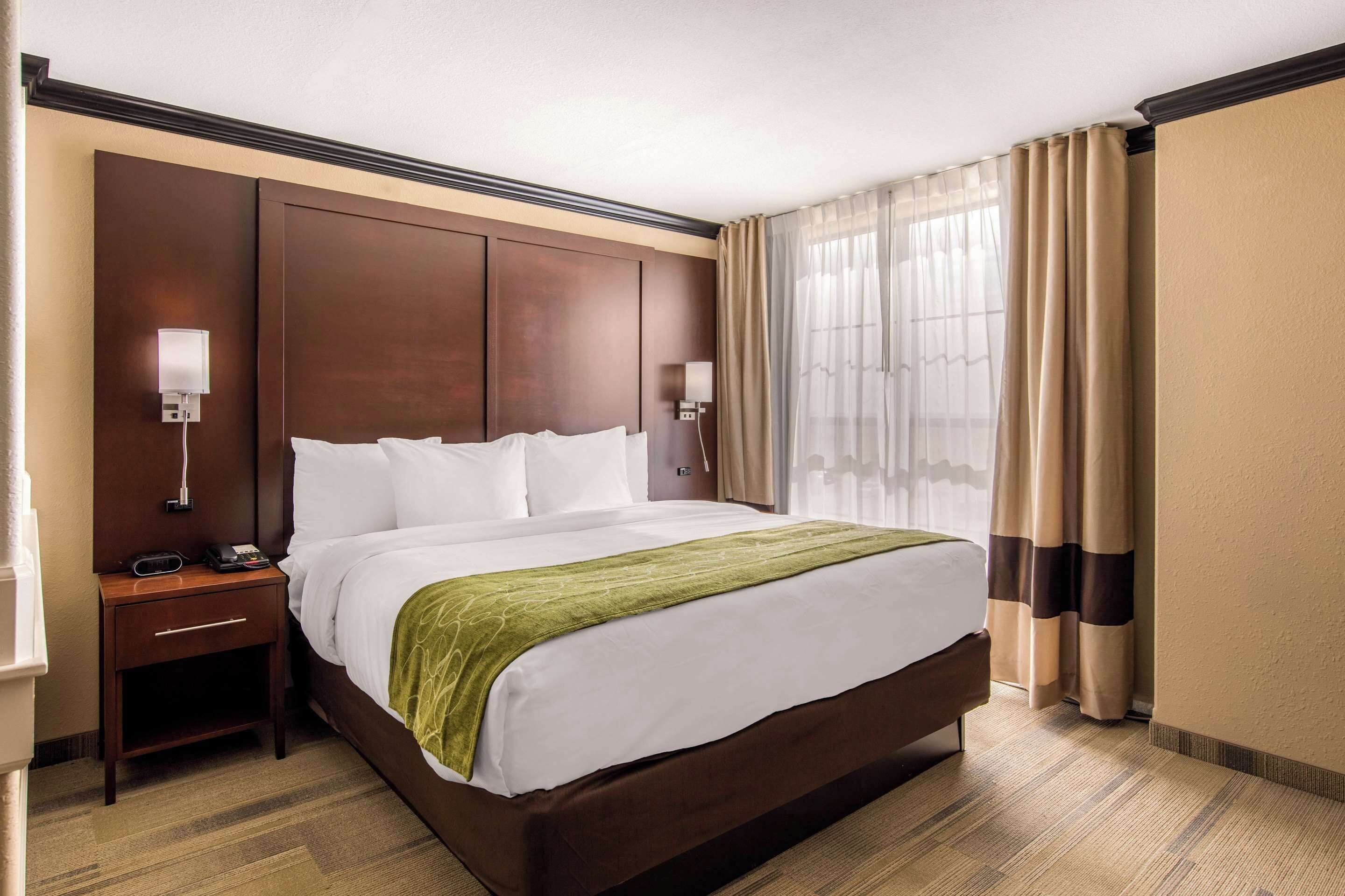 suite, 1 king bed with sofa bed, non smoking (efficiency) | premium bedding, pillow-top beds, desk, iron/ironing board