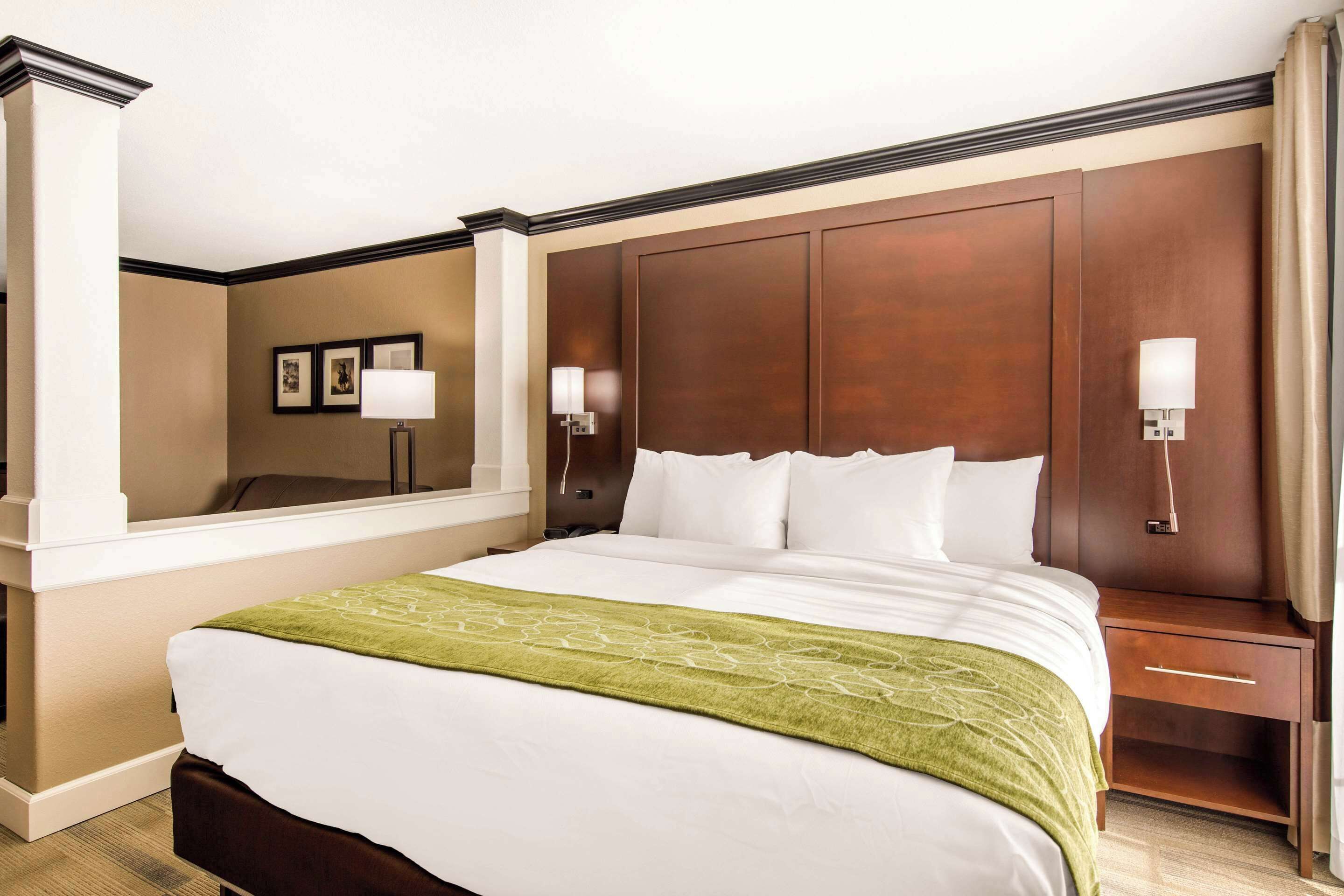 suite, 1 king bed with sofa bed, non smoking (efficiency) | premium bedding, pillow-top beds, desk, iron/ironing board