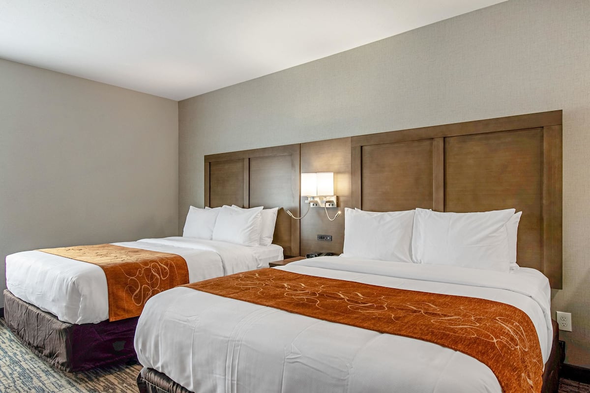 Quarto de hotel com duas camas, cada uma com roupa de cama branca e mantas marrons. Há uma mesa de cabeceira com abajur entre as camas.