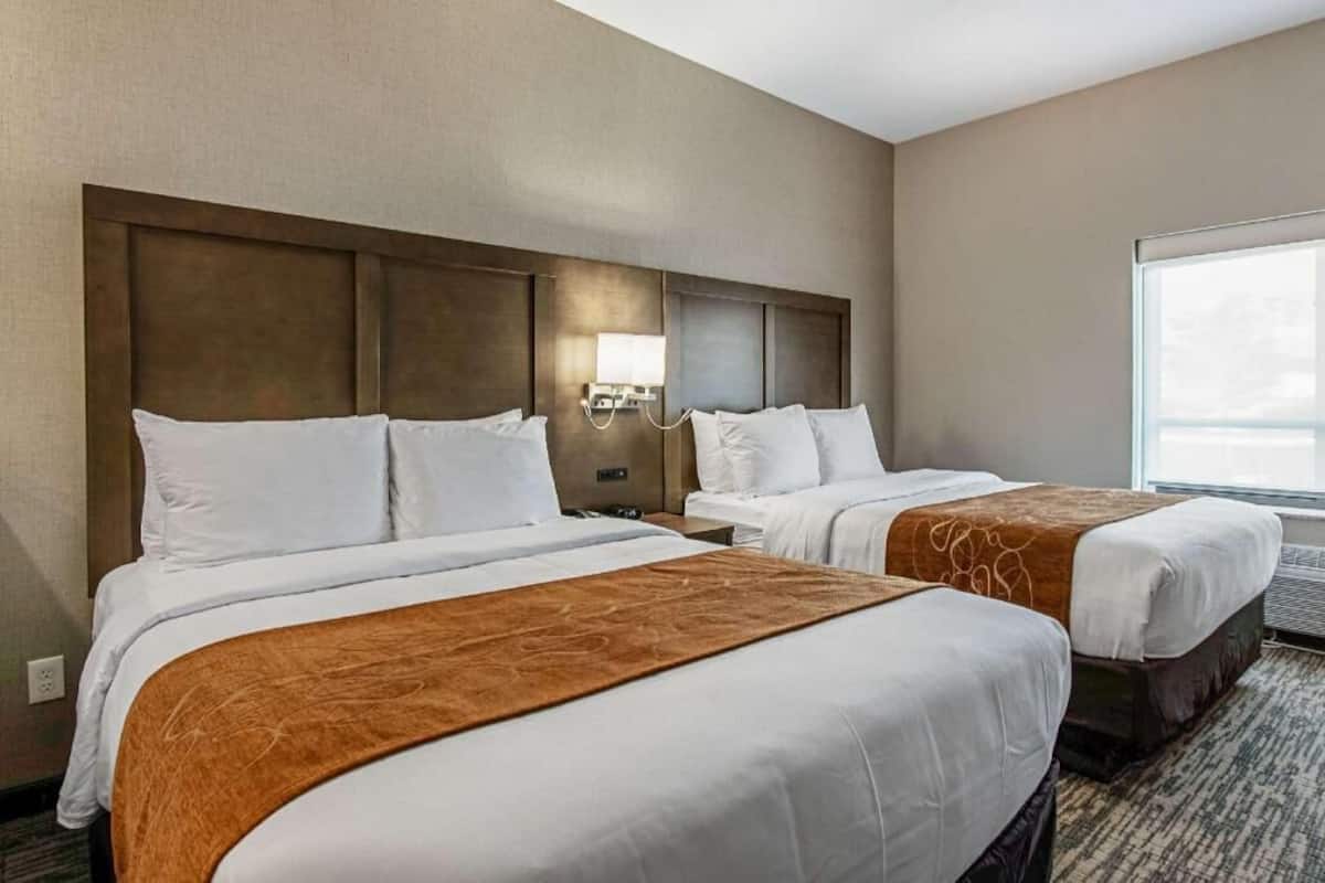 Quarto de hotel com duas camas, uma janela grande, uma luminária fixada na parede e piso coberto de carpete.