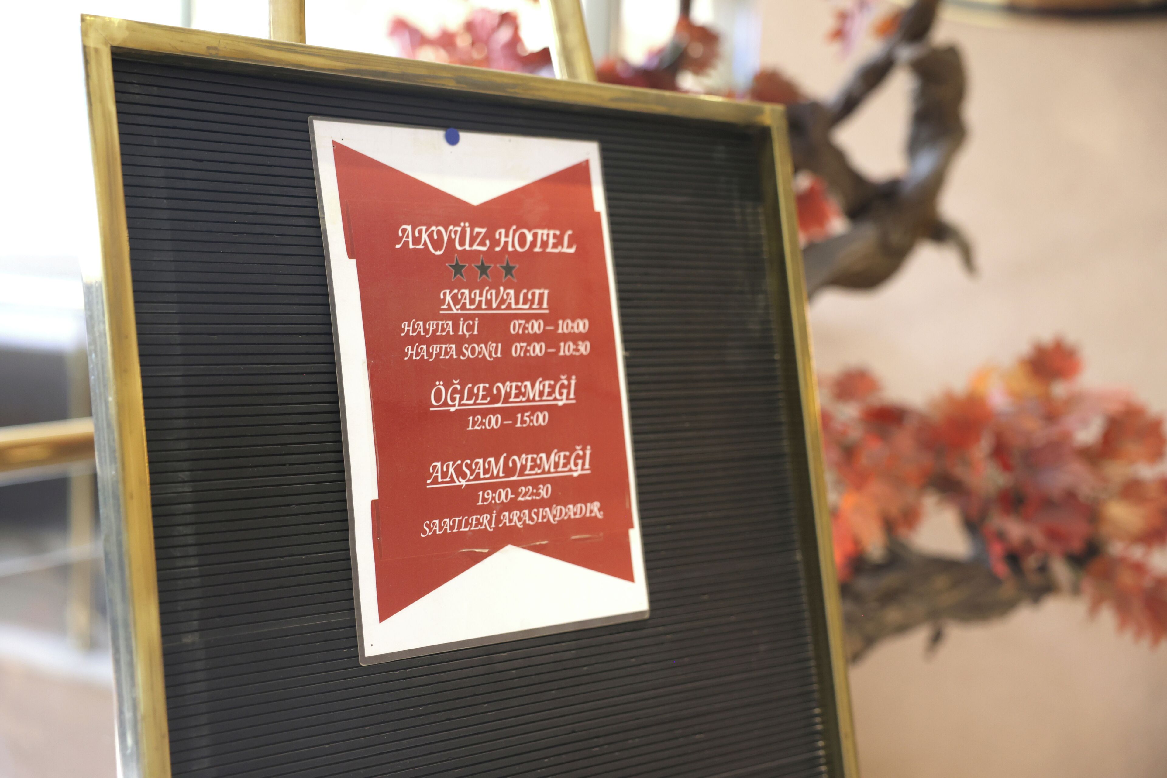 Foto - Hotel Akyuz