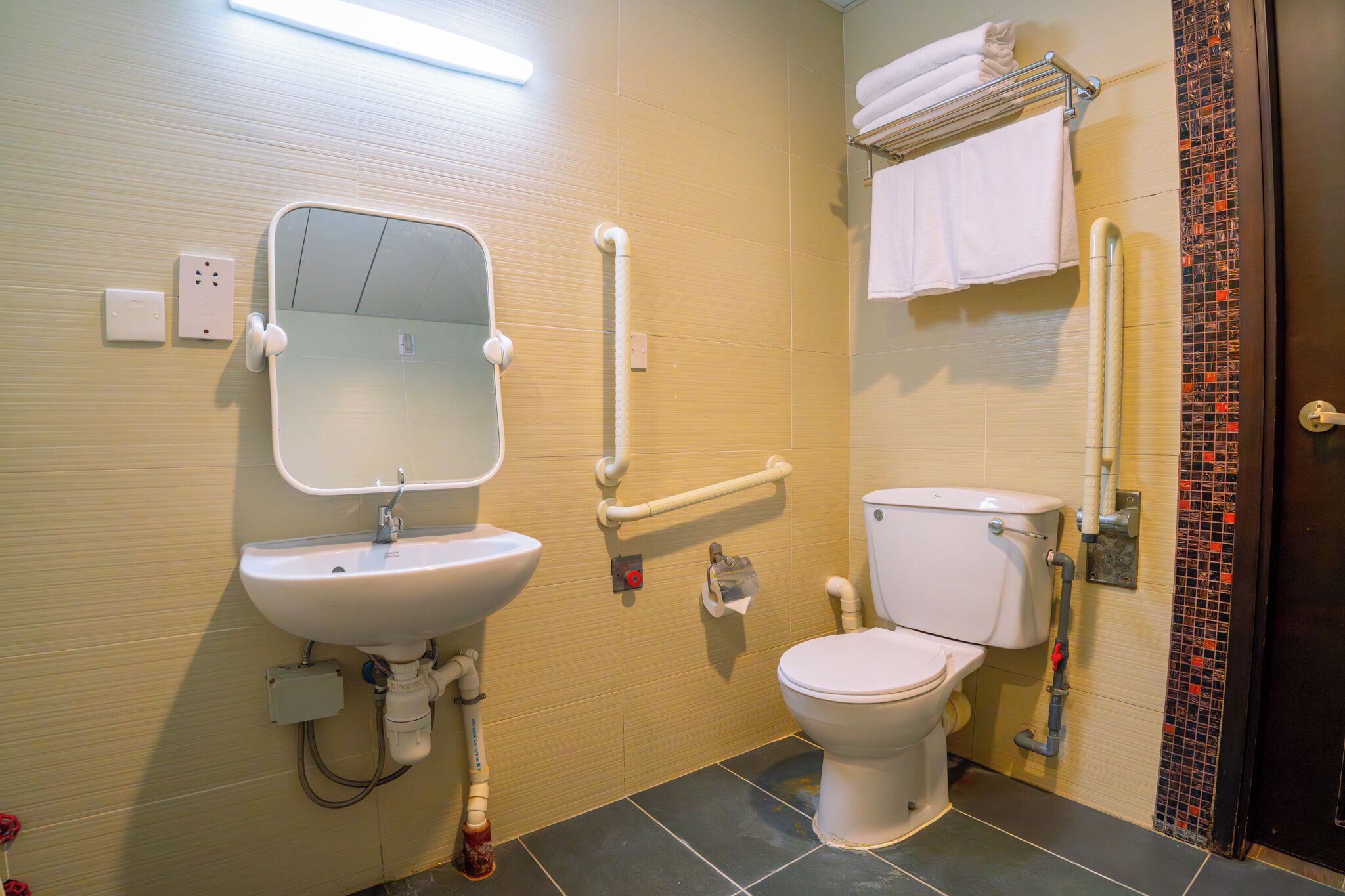 A bathroom with a sink, toilet, and handrails.