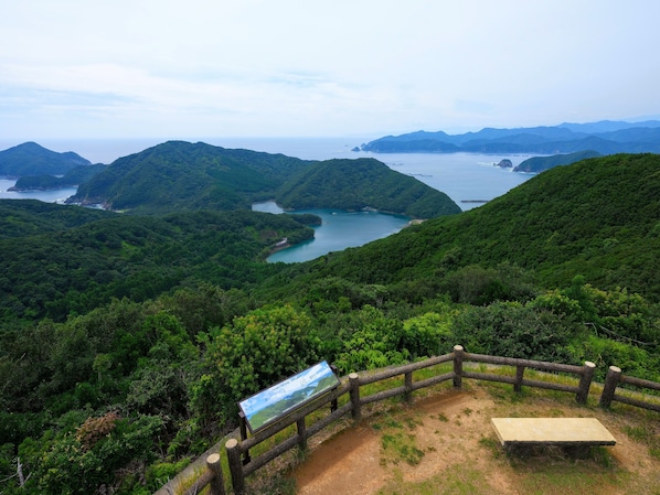 Pemandangan dari properti