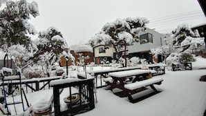 A snow-covered outdoor area with picnic tables and benches, surrounded by trees and buildings.