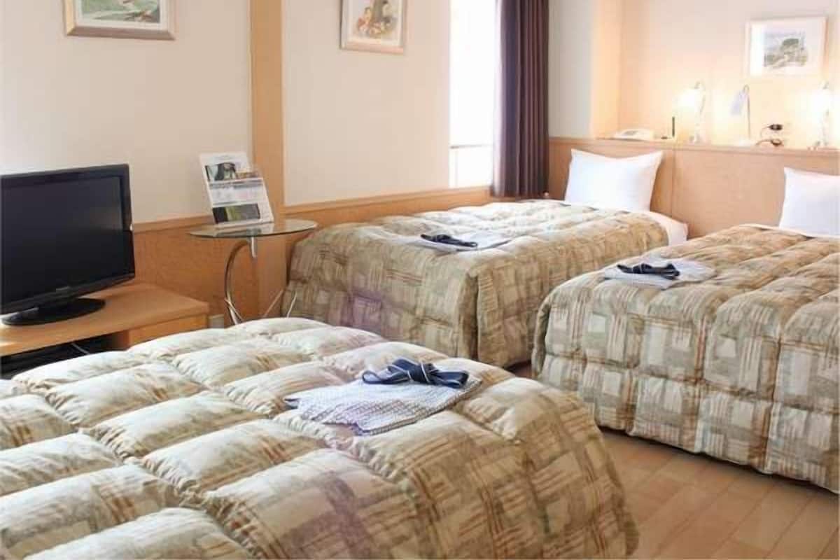 Desk, blackout curtains, free WiFi, bed sheets