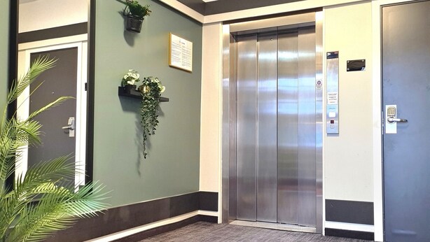 An elevator area with a green wall, a potted plant, and a sign above the elevator. - City Living Sentrum Hotell (Trondheim)