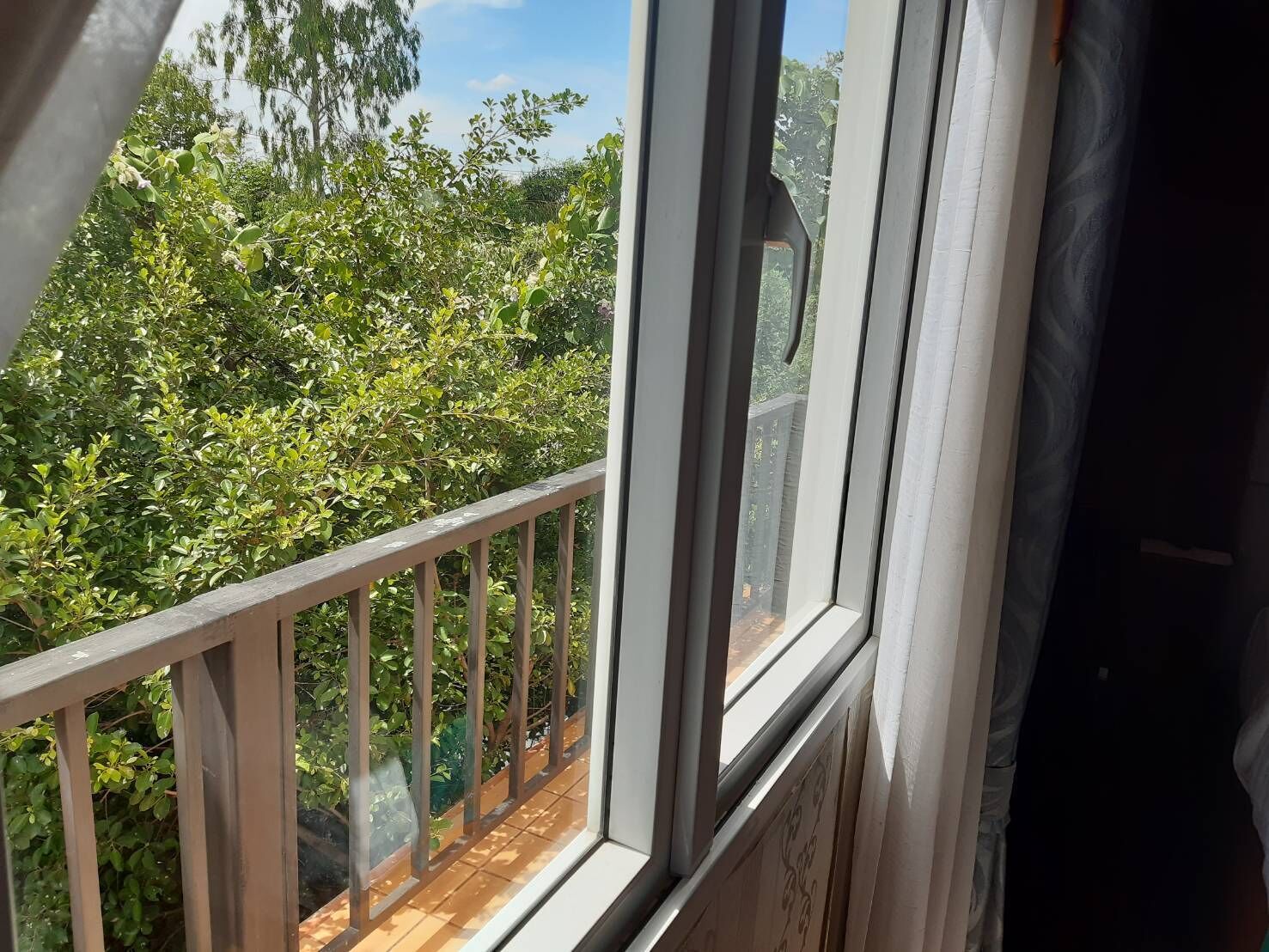 Una ventana con vista a abundante follaje.