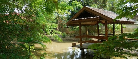 Jardines del alojamiento