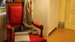 A red upholstered chair with a book titled "Monterosso" and a lamp with a striped shade. - B&B Le Aquile (Siena)