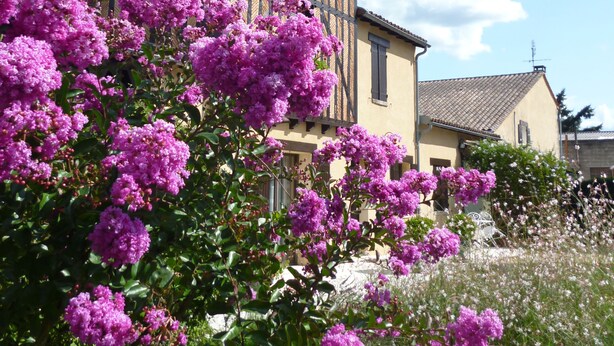 A traditional half-timbered building with a steeply pitched roof, surrounded by lush purple flowering bushes. - Les Sureaux (Le Pizou)