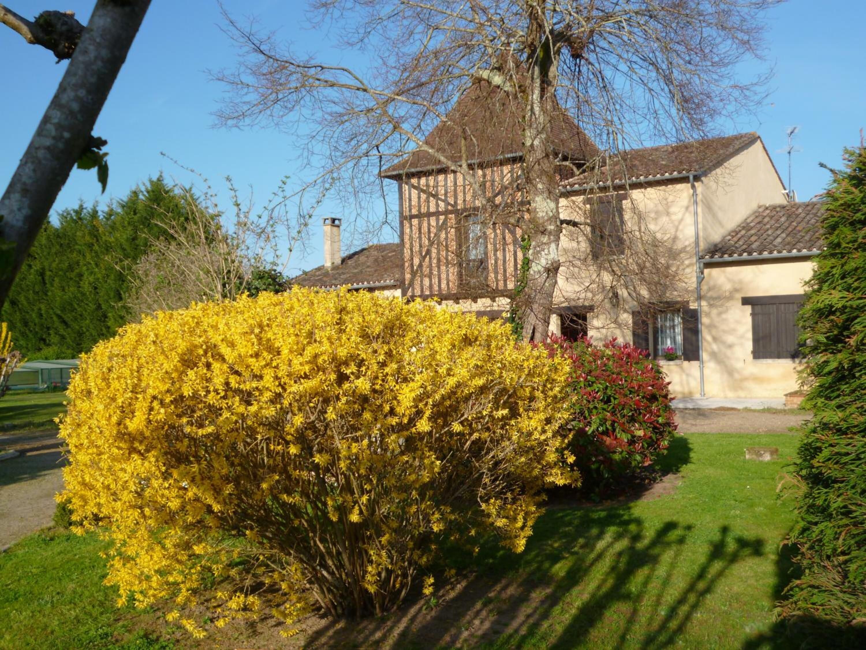 A traditional building with a tiled roof, surrounded by a well-maintained garden with yellow flowering bushes and a neatly trimmed lawn.