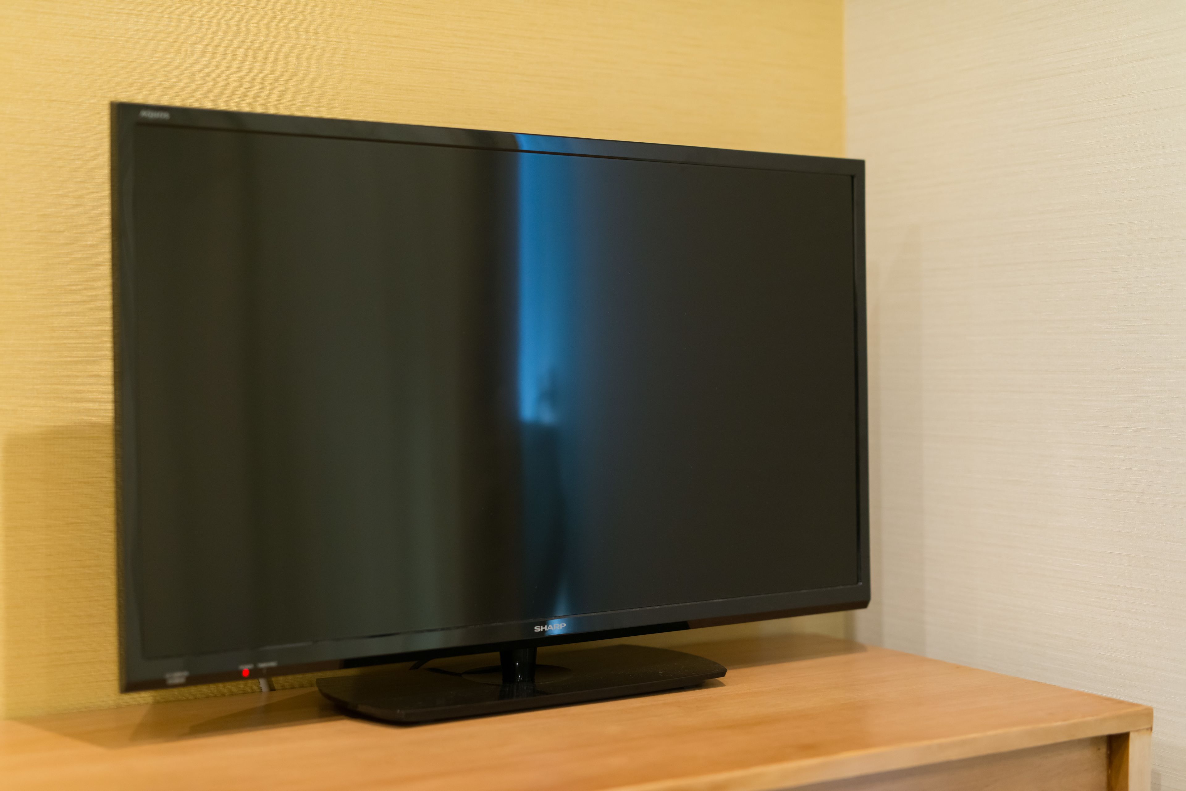 standard twin room | television