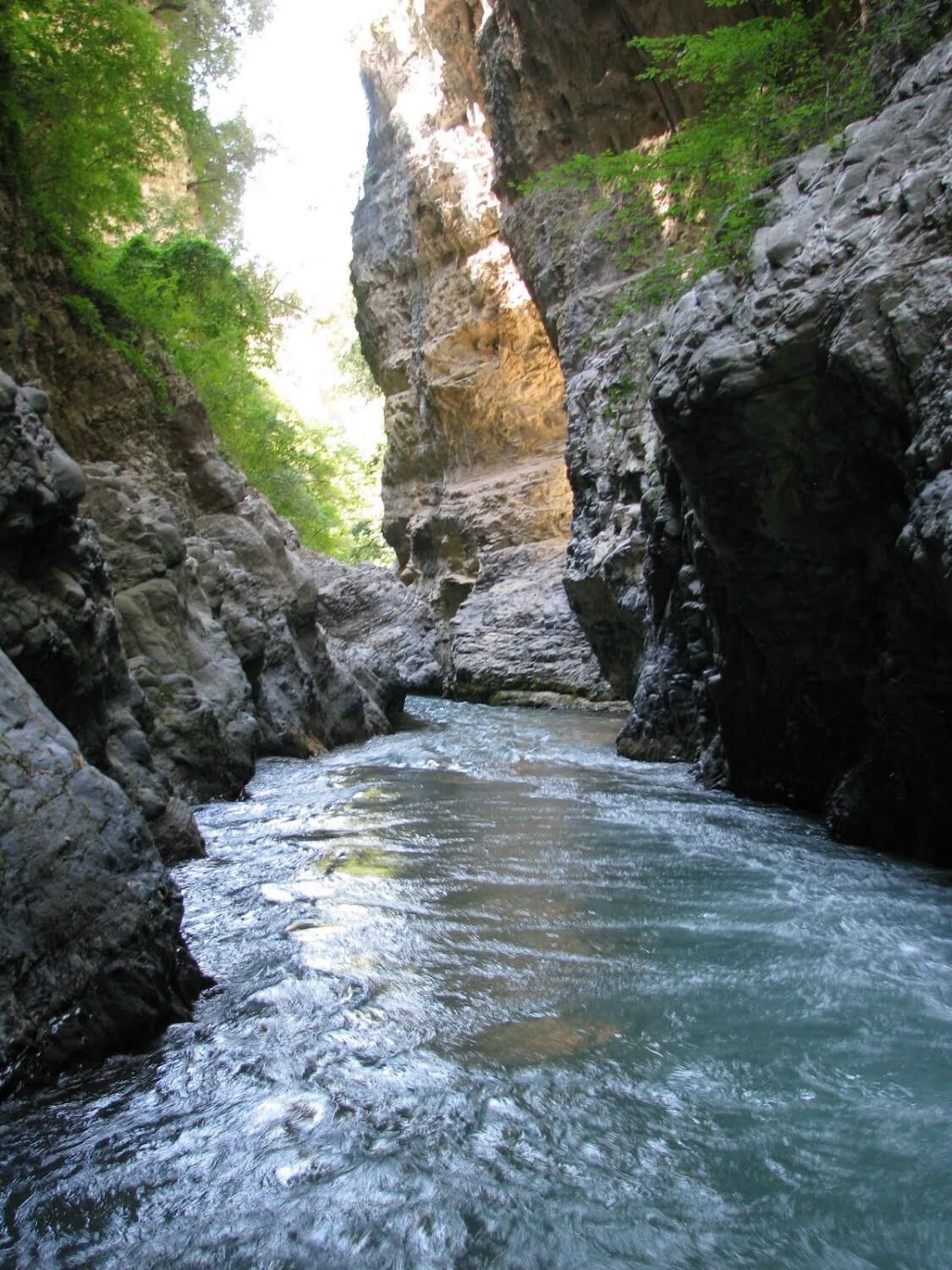 A narrow canyon with a flowing river, rocky walls, and dense green foliage.