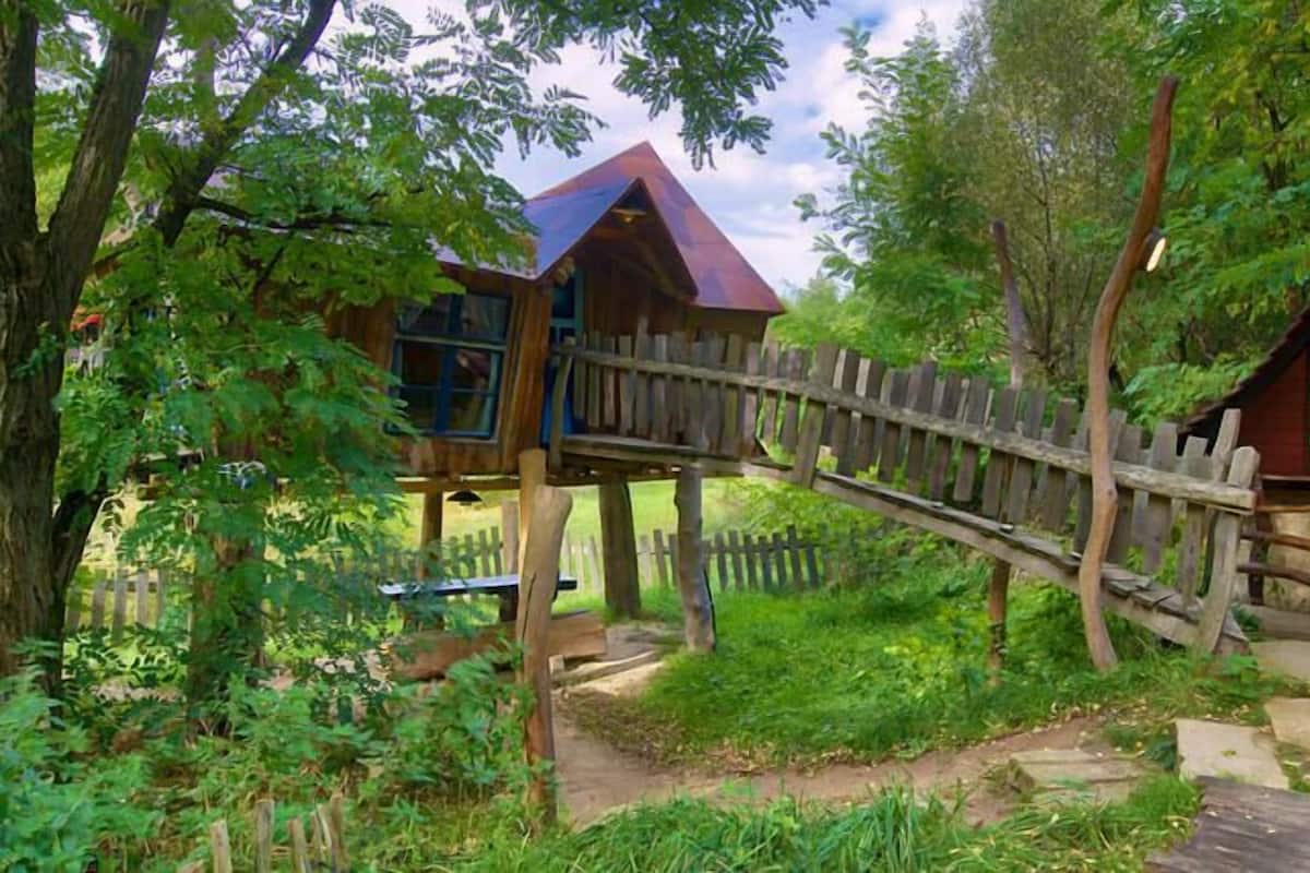 A wooden cabin with a wooden bridge connecting it to another cabin, surrounded by lush greenery.