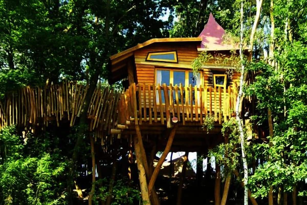 A treehouse with a wooden deck and a red roof, surrounded by dense foliage.