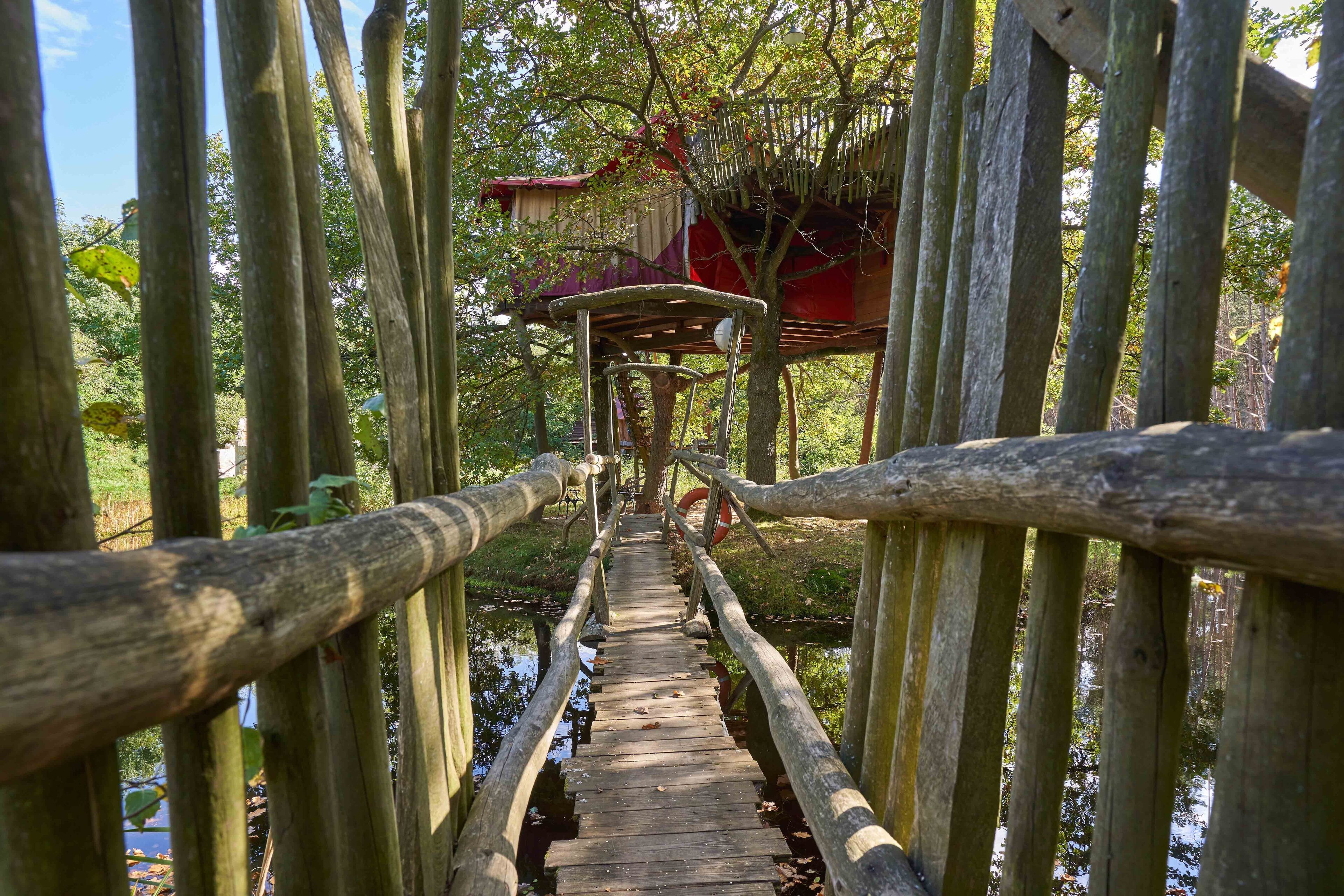 Un puente de madera con barandillas que conduce a una estructura tipo casa en los árboles.