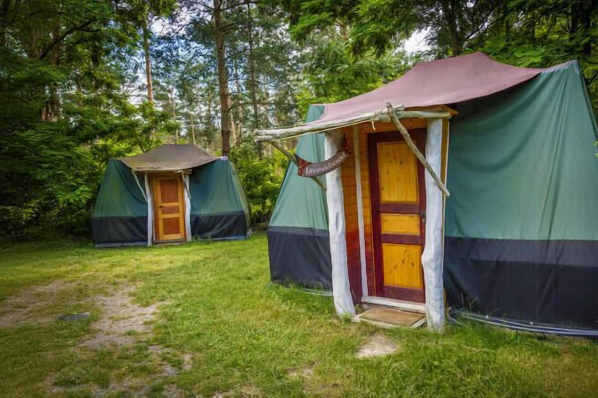 Two green and brown tents with wooden doors, set in a grassy area surrounded by trees.