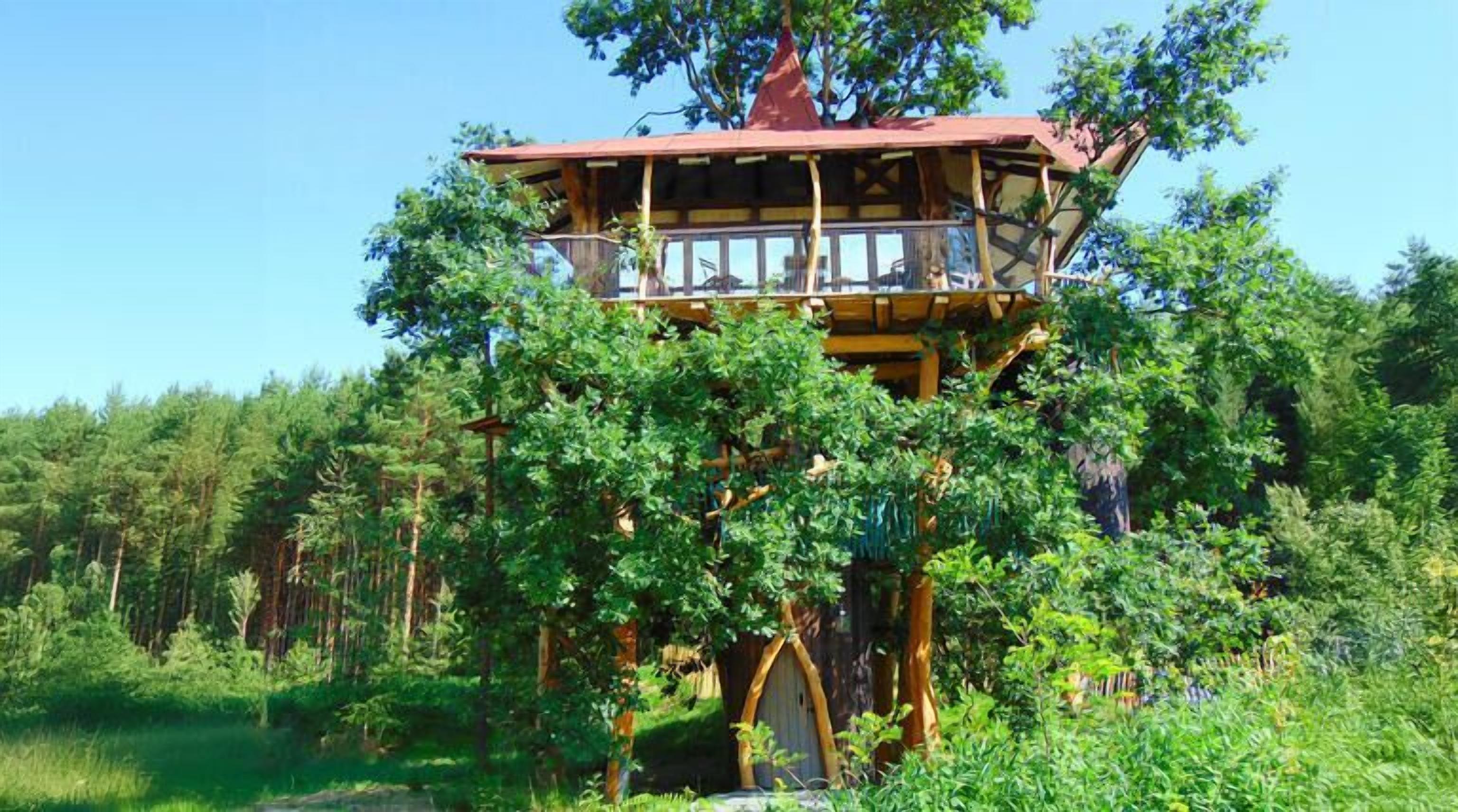 A treehouse with a wooden deck and a red roof, surrounded by dense greenery and trees.