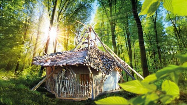 A rustic wooden cabin in a forest with a thatched roof and a wooden fence. - Die Geheime Welt von Turisede (Neisseaue)