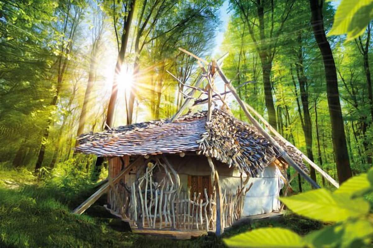A rustic wooden cabin in a forest with a thatched roof and a wooden fence.