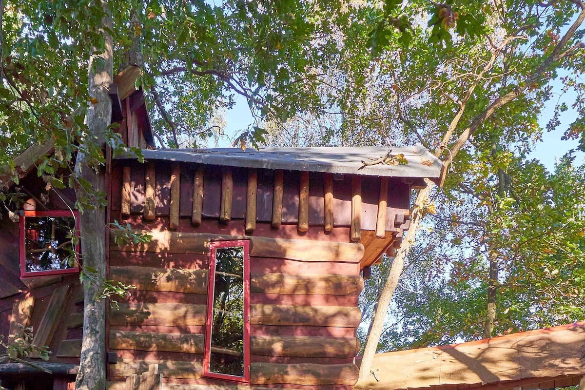 A wooden treehouse with a red door and windows, built on a tree trunk, surrounded by forest.