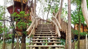 A wooden staircase structure integrated into a forest setting, surrounded by trees and wooden fences. - Die Geheime Welt von Turisede (Neisseaue)