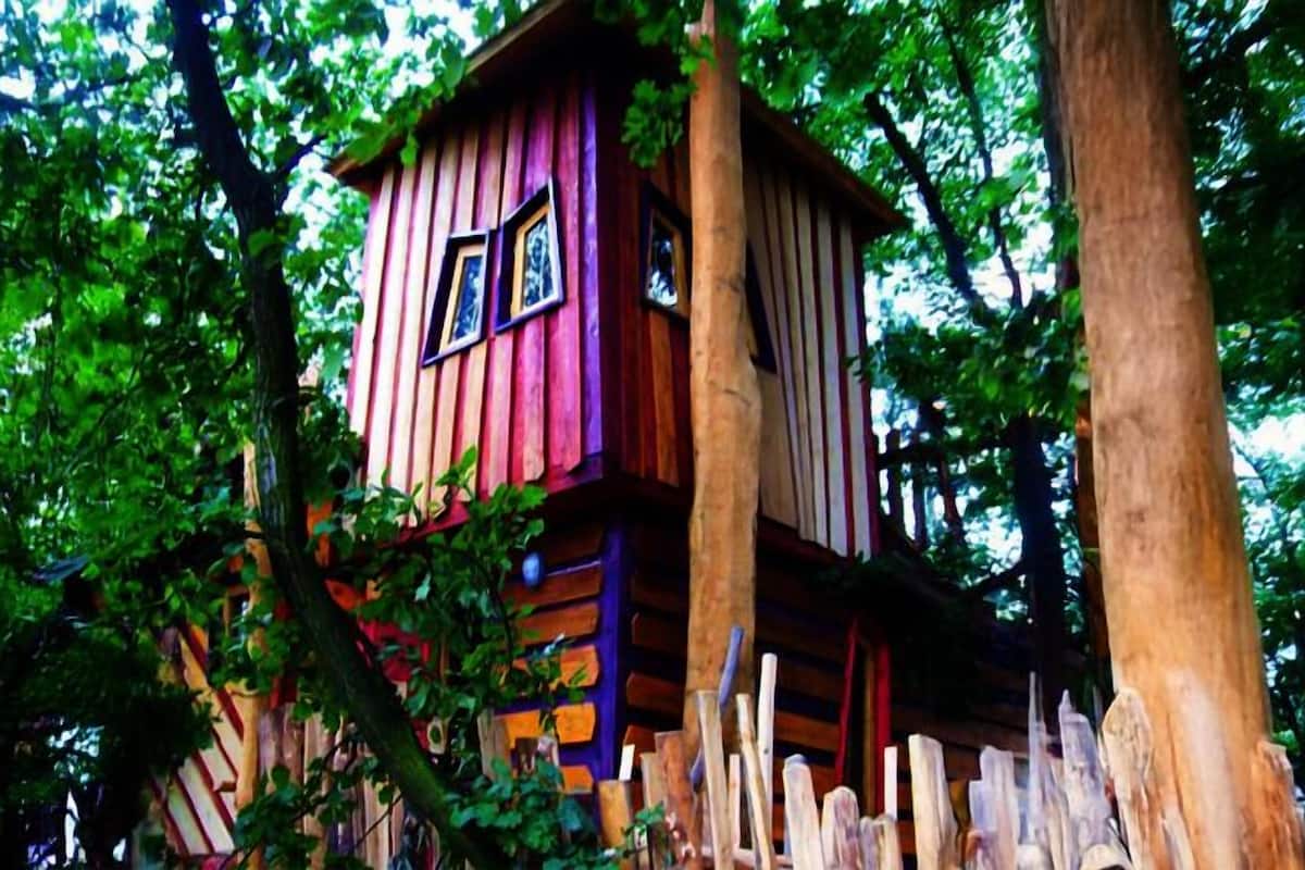A treehouse with a wooden exterior and a small window.