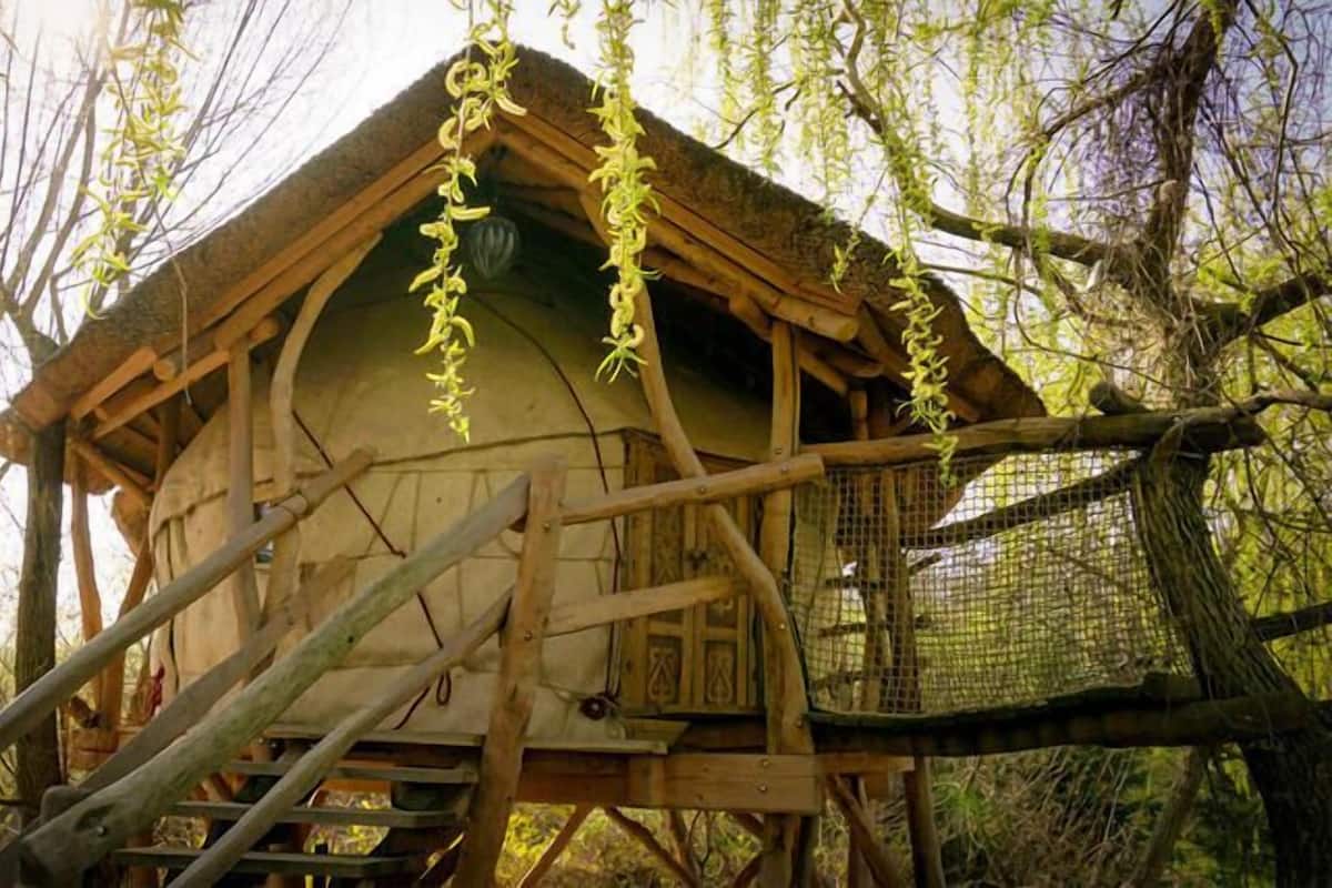 A wooden birdhouse with a sloped roof and a small entrance, surrounded by trees and a wooden platform.