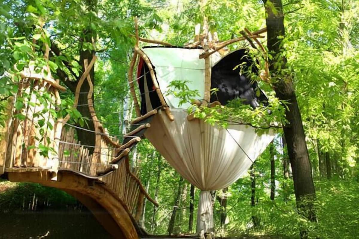 A treehouse with a wooden bridge and a hanging platform.