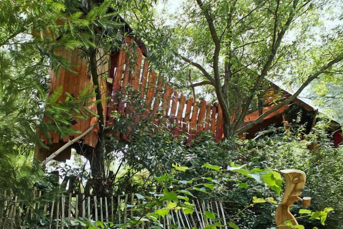 A wooden structure surrounded by dense foliage, possibly a gazebo or a small shelter.