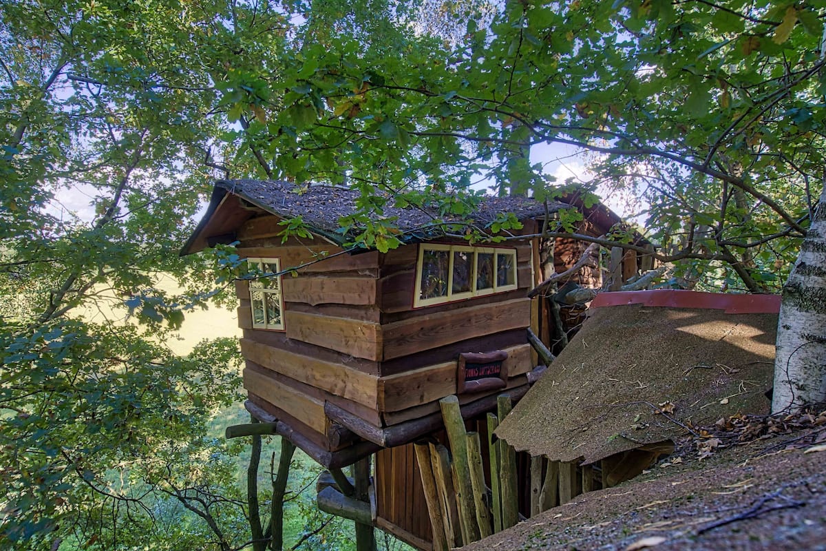 A wooden cabin built on stilts in a forest.