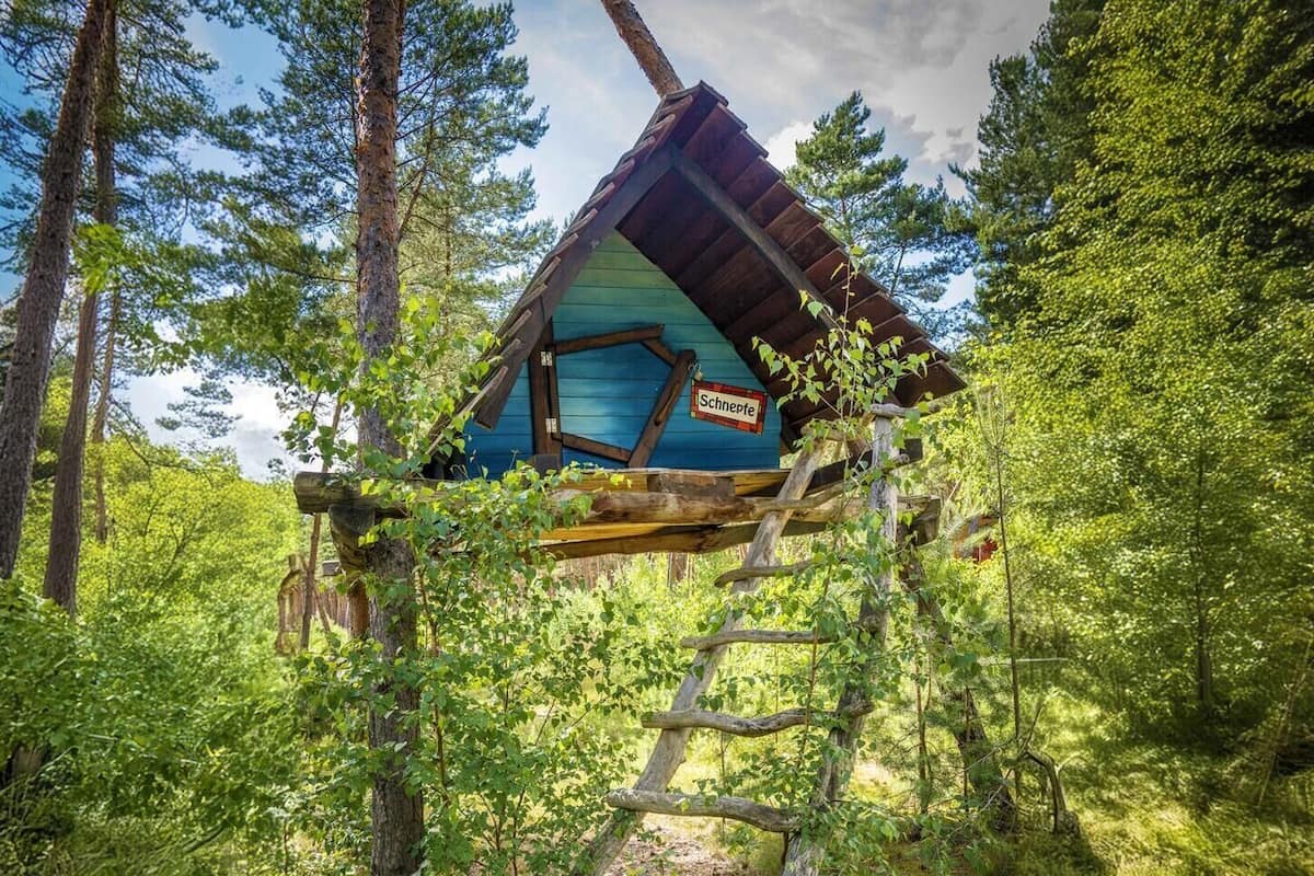 A cabin with a blue exterior, surrounded by dense forest.
