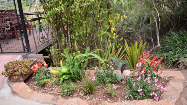 A garden with various plants and flowers, a wooden bench, and a metal fence. - Kifaru House - Karen (Nairobi)