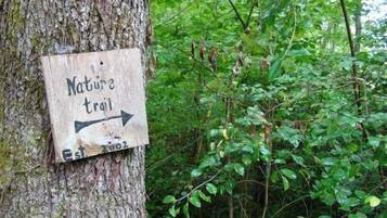 Cabin, 2 Bedrooms | Kawasan hartanah