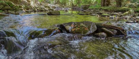 Cabin, 1 Bedroom | Miscellaneous