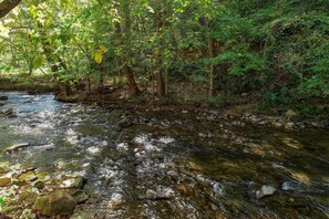 Une zone boisée traversée par un ruisseau.