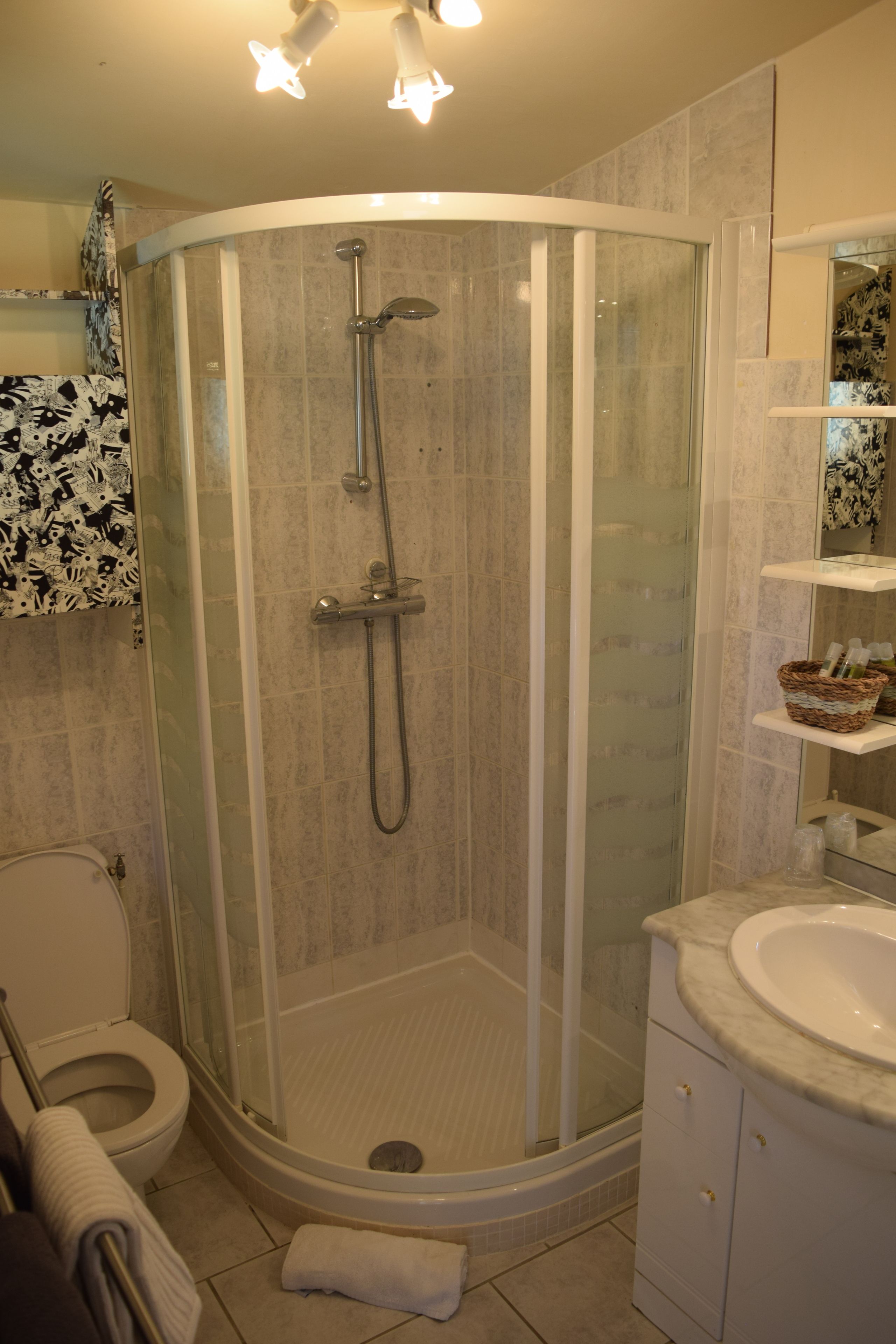 A modern bathroom with a glass-enclosed shower, a toilet, and a vanity with a sink.