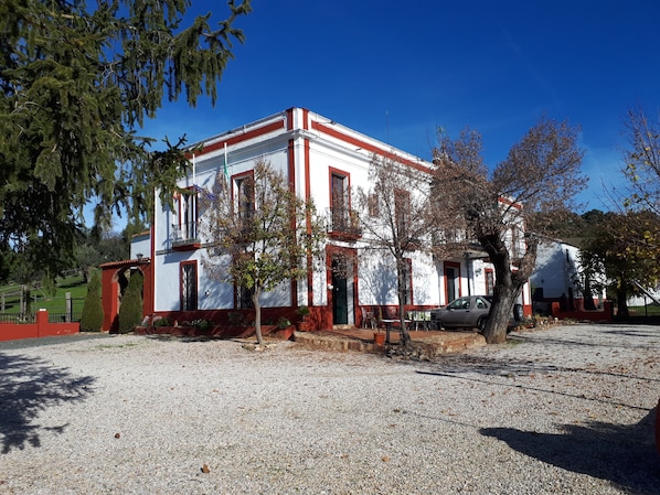 Jardim