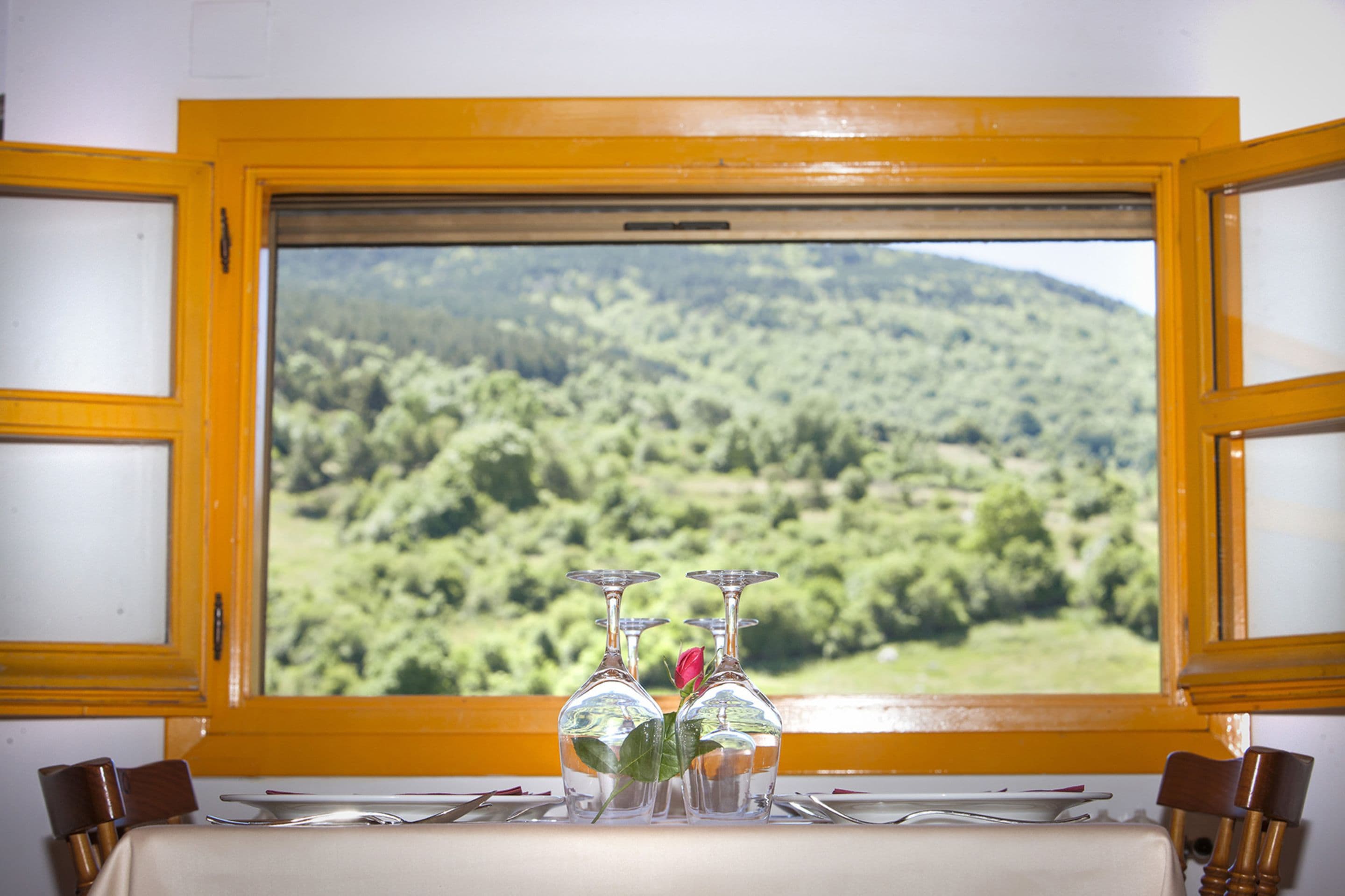 A table set with wine glasses and a rose, with a view of a green forest through a window with yellow frames.