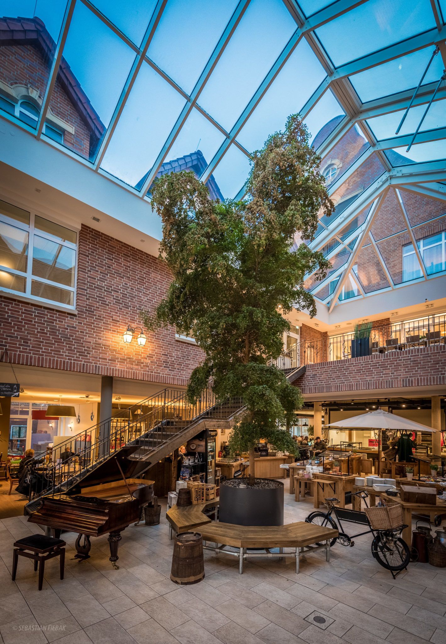 A spacious indoor area with a large tree, wooden furniture, and a piano.