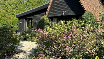 A modern house with a dark roof and a gravel path leading to the entrance.