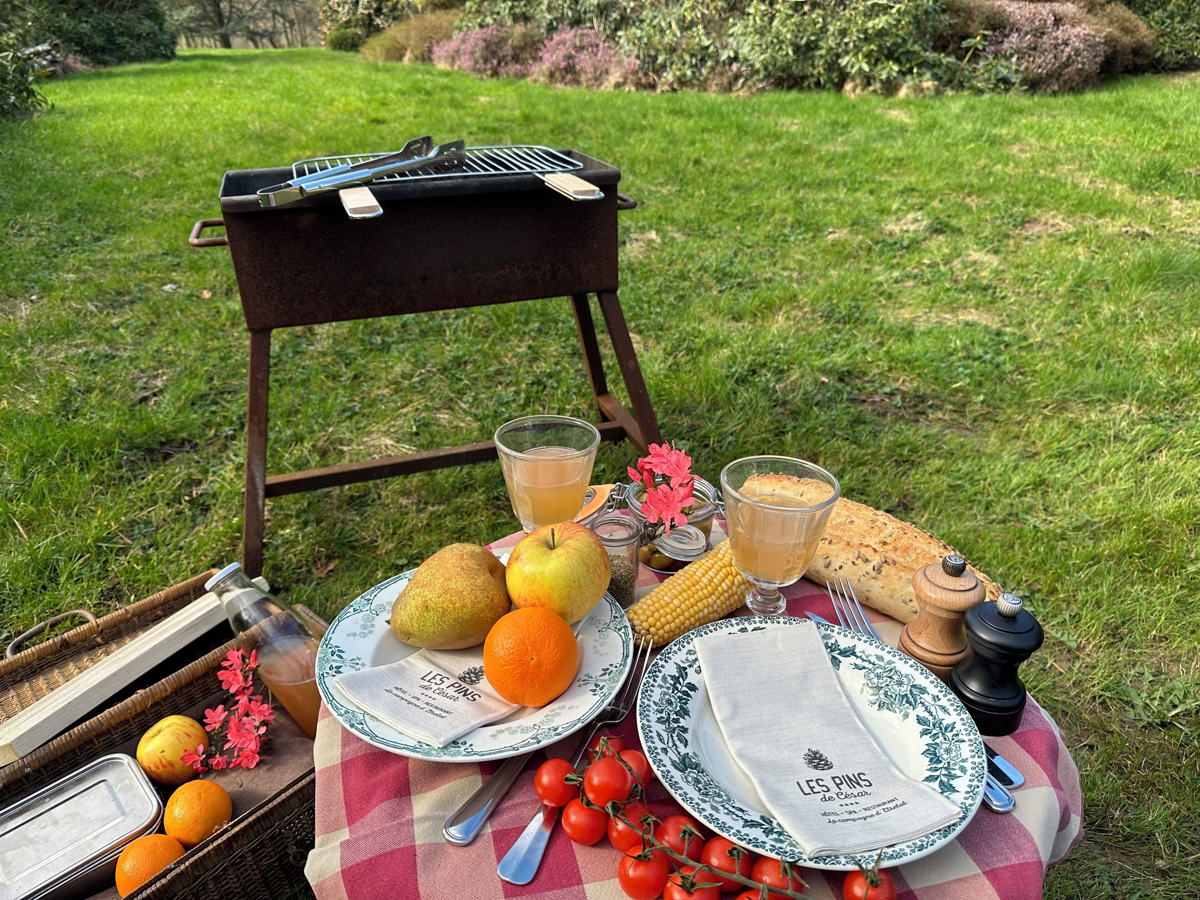Un montaje para picnic con una parrilla, platos, cubiertos y frutas sobre un mantel a cuadros.