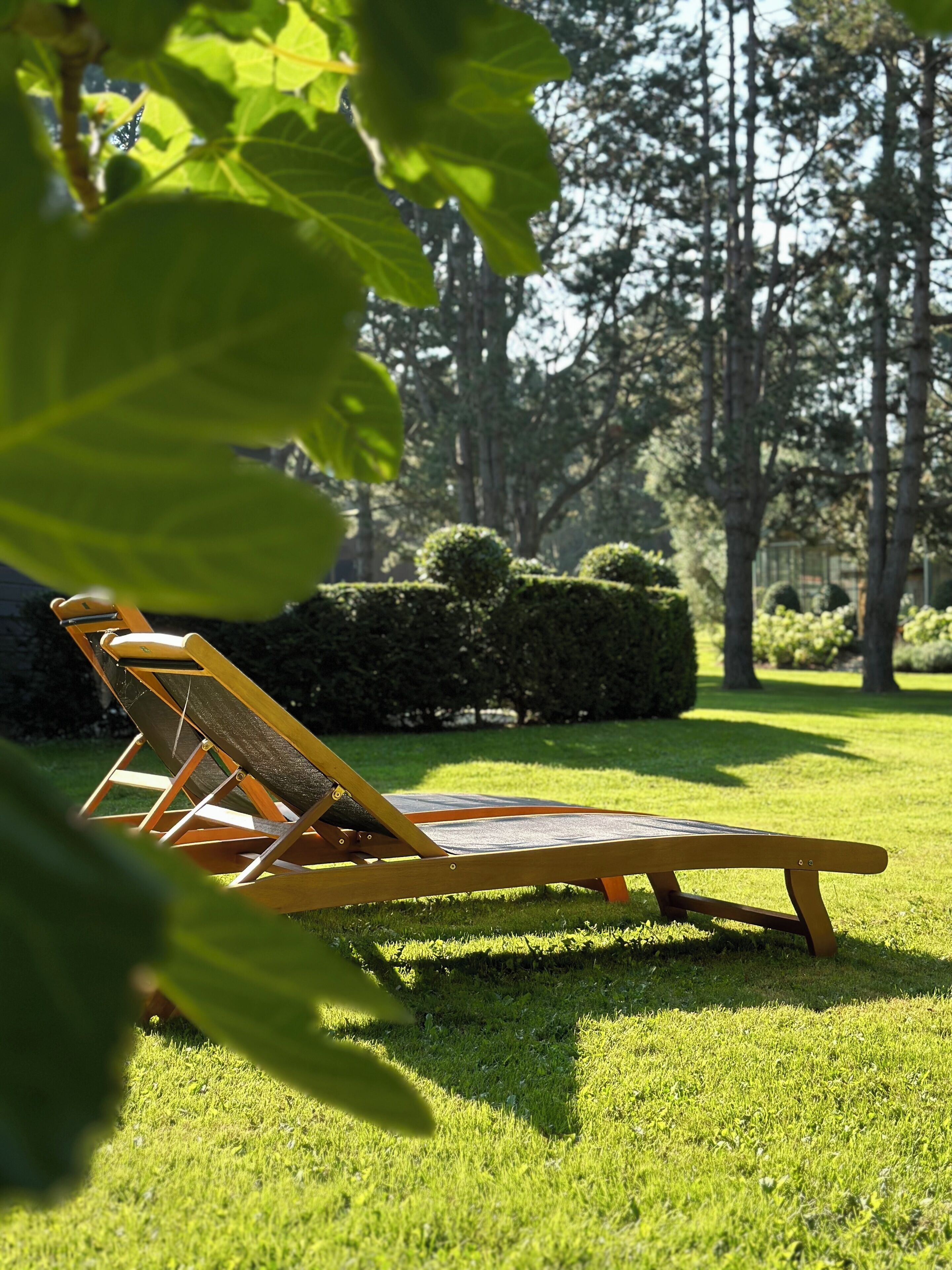 A sunlit outdoor seating area with a wooden lounge chair and a small table, surrounded by well-maintained grass and hedges.