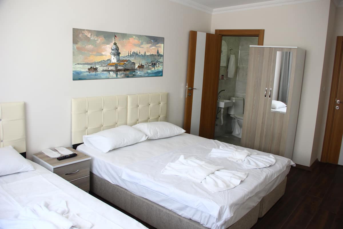 Basic Triple Room | Minibar, insonorización, tabla de planchar con plancha y wifi gratis