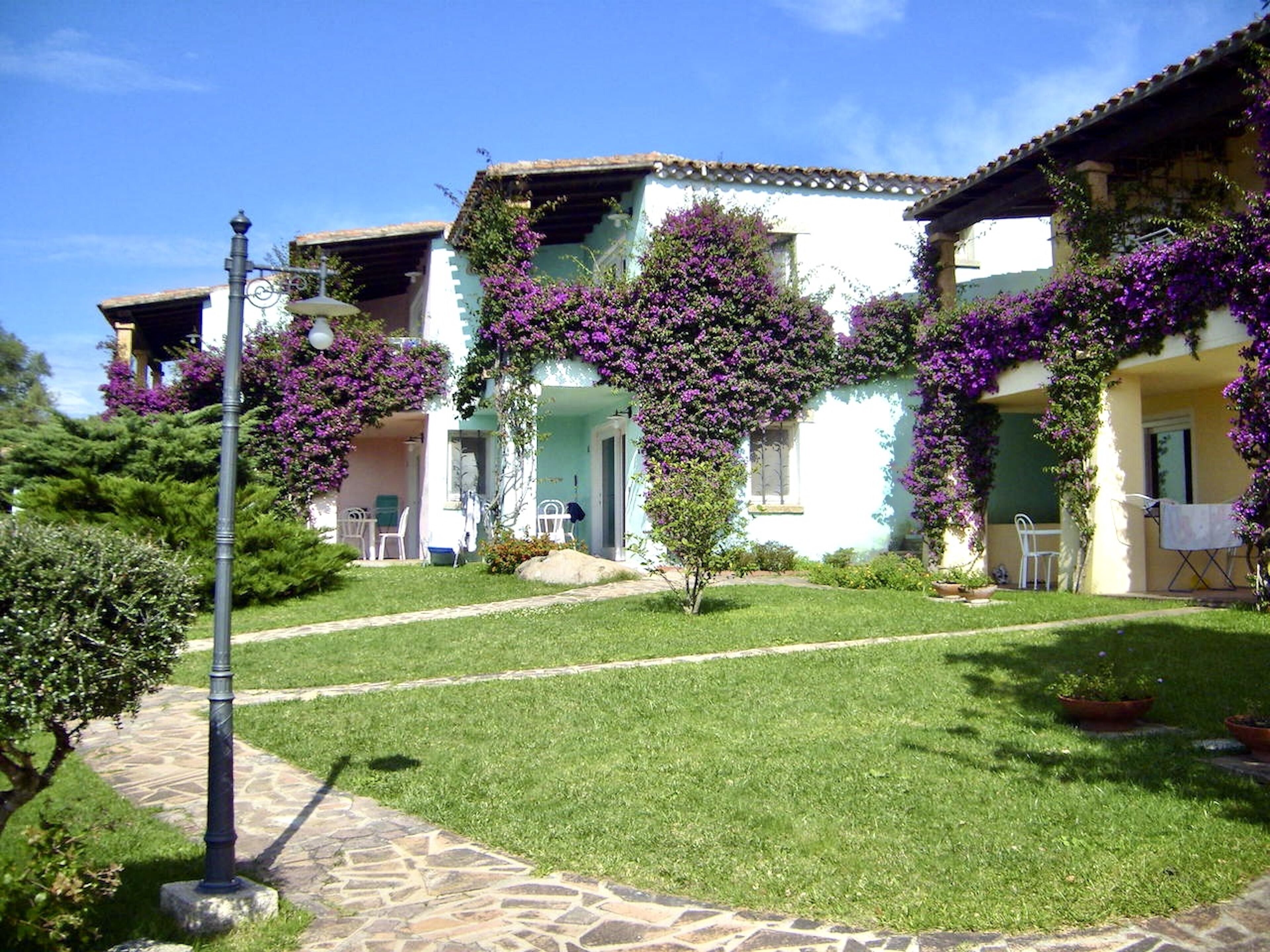 A building with a stone pathway leading to a white entrance, surrounded by lush greenery and purple flowering plants.