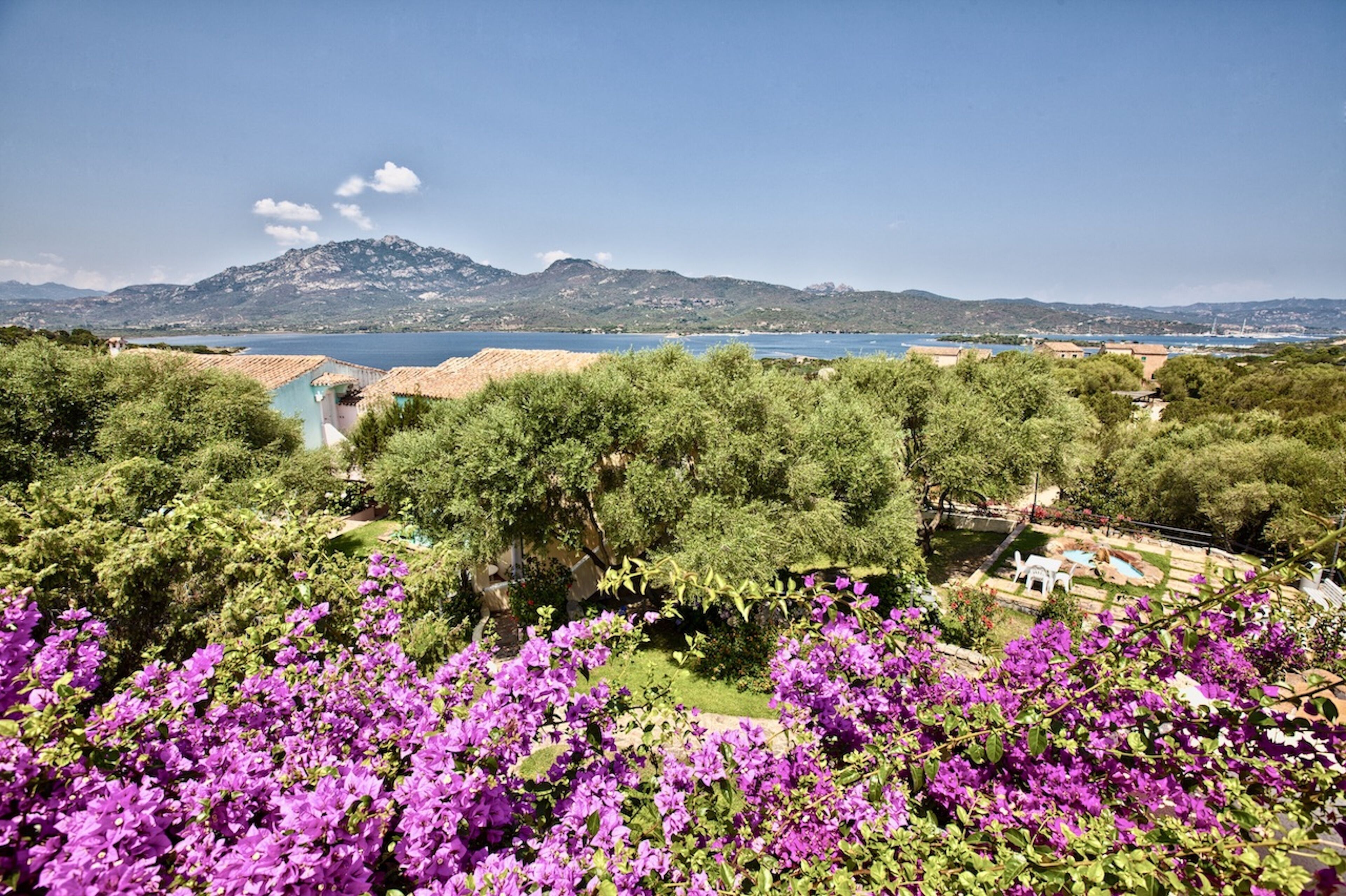 A garden with purple flowers, a view of a lake, and distant mountains.