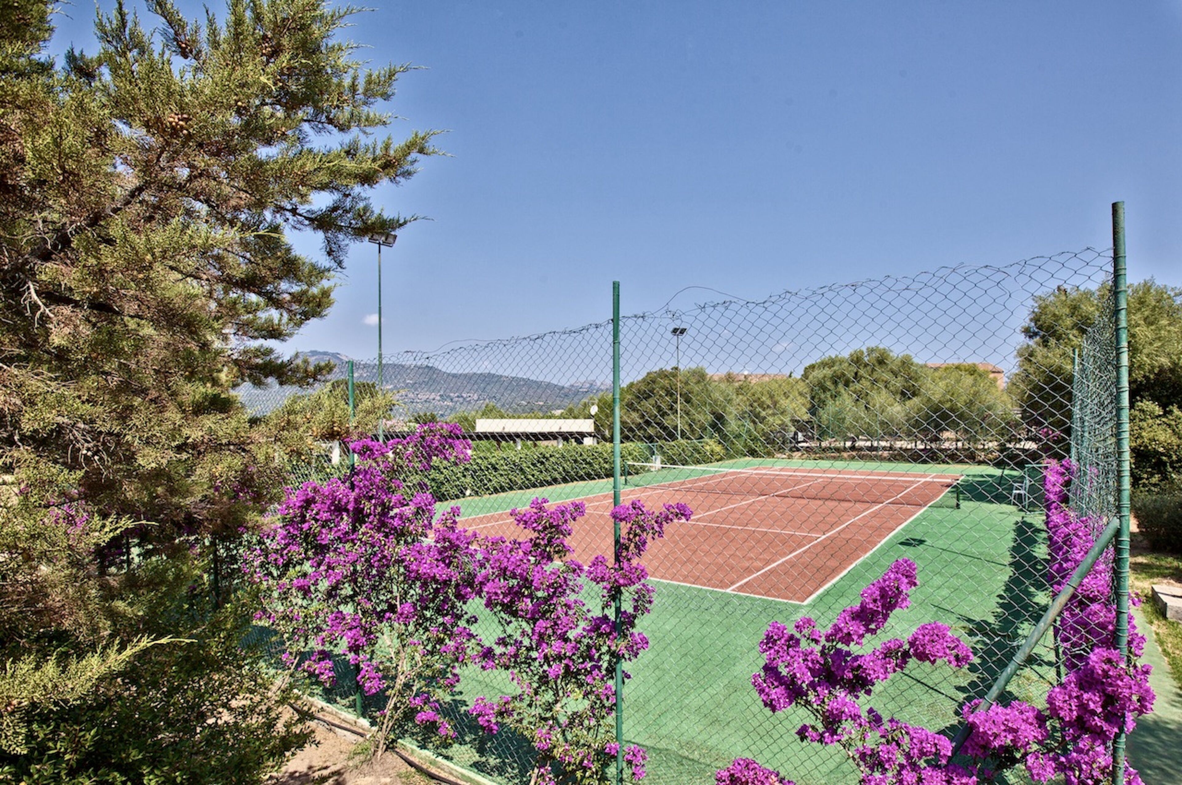 Tennisbane