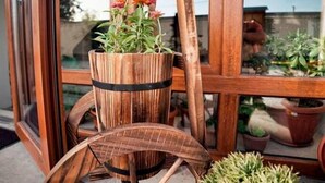 Een rustieke omgeving buiten, met een houten kar waarop een potplant en een kleine bloemstelling staan.