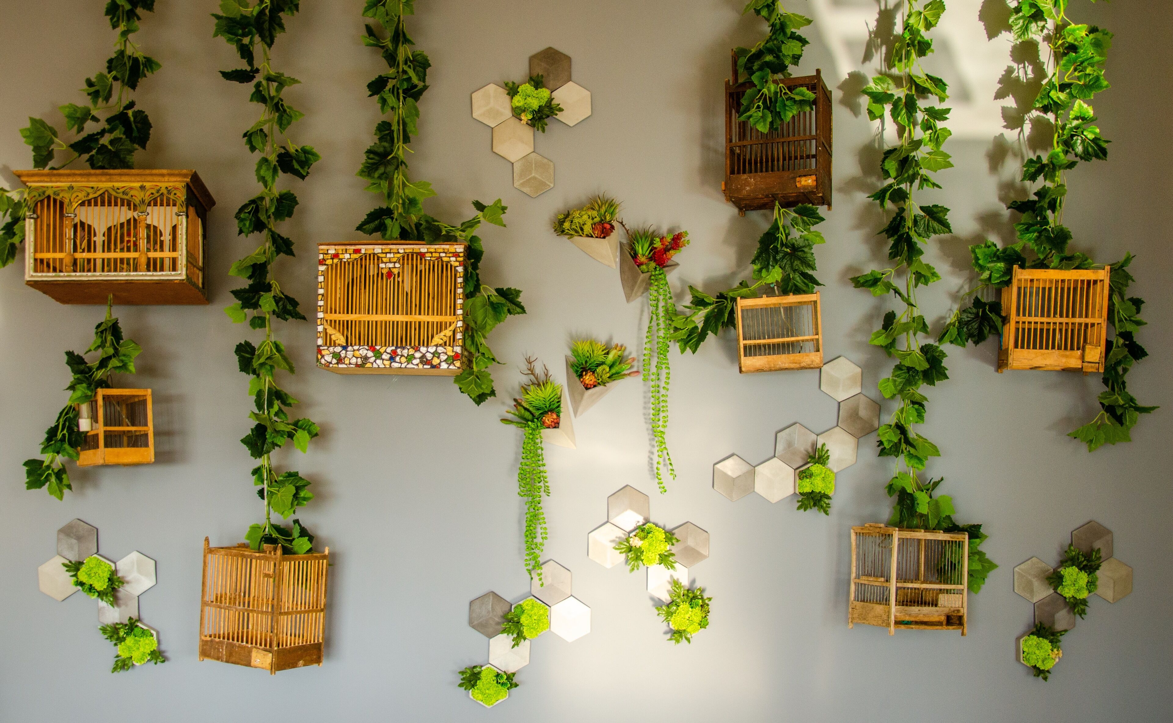 Foto - The Ray Hotel and Studios