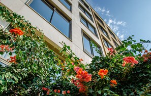 Building design - The Ray Hotel & Studios (Ain Saadeh)